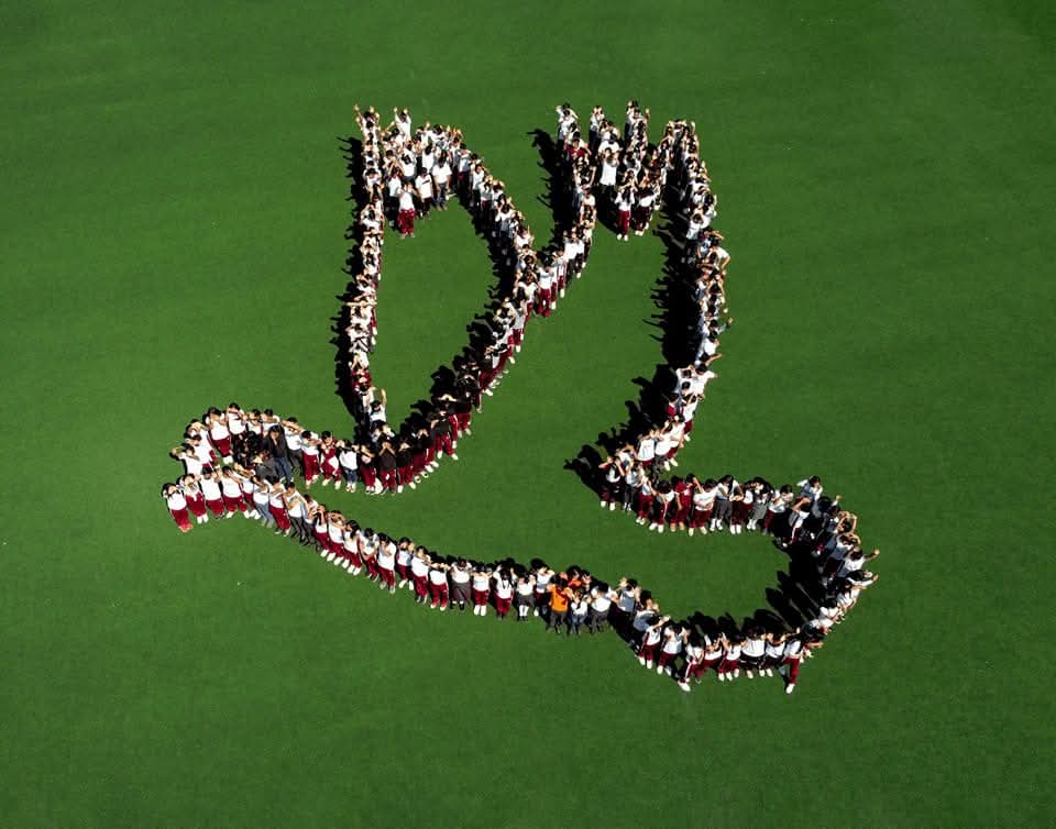 Visión del CETis 67